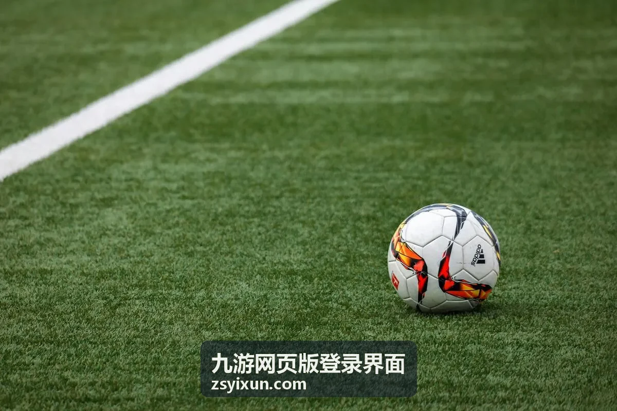 在九游网页版登录界面输入账号并快速完成验证